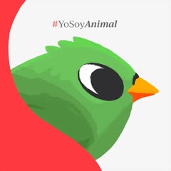 USER BANNER