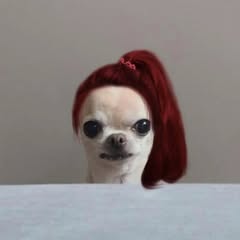 USER BANNER