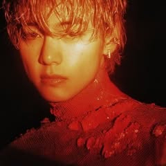 V's BANNER